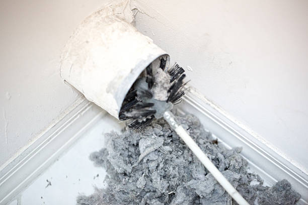 Air Duct Mold Removal in Hurricane, UT